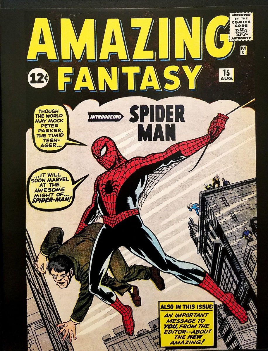 Amazing Fantasy #15 Spider-Man by Steve Ditko 11x14 FRAMED Marvel Comi –  GrantsComics