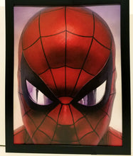 Load image into Gallery viewer, Amazing Spider-Man by Alex Ross 8.5x11 FRAMED Marvel Comics Art Print Poster