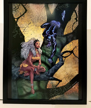 Load image into Gallery viewer, Black Panther Storm by Olivier Coipel 11x14 FRAMED Marvel Comics Art Print Poster