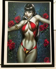 Load image into Gallery viewer, Vampirella 12x16 FRAMED Art Print by J. Scott Campbell (from #1) NEW comic poster