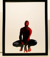 Load image into Gallery viewer, Amazing Spider-Man Timeless by Alex Ross FRAMED 11x14 Art Print Marvel Comics Poster