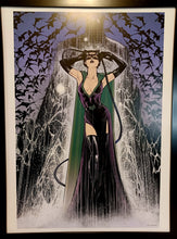 Load image into Gallery viewer, Catwoman by Joelle Jones FRAMED 12x16 Art Print DC Comics Poster
