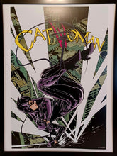Load image into Gallery viewer, Catwoman by Joelle Jones FRAMED 12x16 Art Print DC Comics Poster