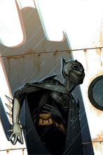 Load image into Gallery viewer, Batgirl by James Jean FRAMED 12x16 Art Print DC Comics Poster
