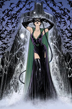 Load image into Gallery viewer, Catwoman by Joelle Jones FRAMED 12x16 Art Print DC Comics Poster
