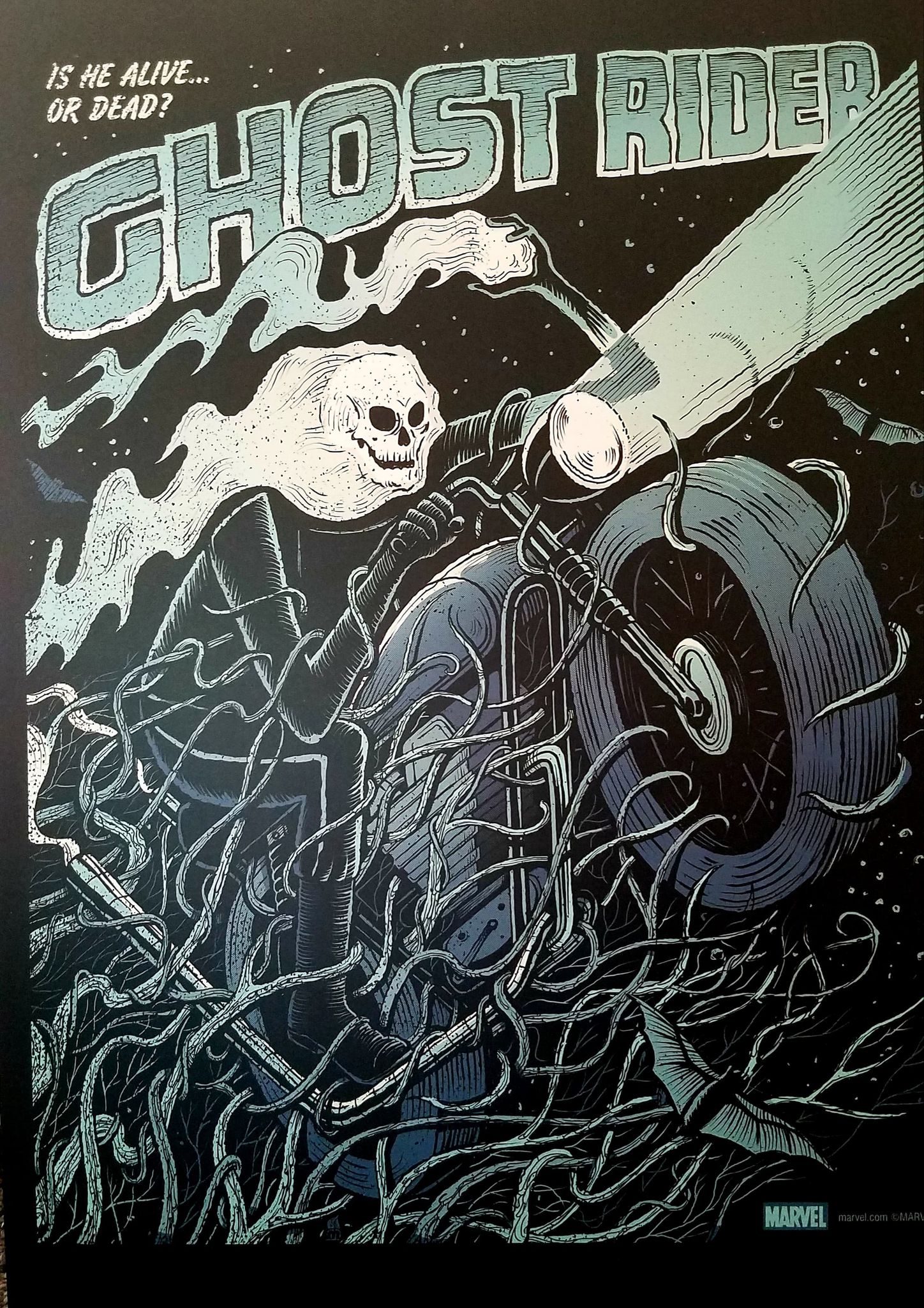 Comic Ghort Rider Ghost Rider Comic Poster