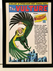 Spider-Man Vulture by Steve Ditko 9x12 FRAMED Marvel Comics Vintage Art Print Poster