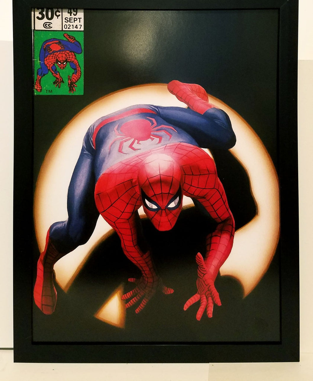 Spectacular Spider-Man homage by Alex Ross 9x12 FRAMED Marvel Art Print Poster