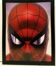 Load image into Gallery viewer, Amazing Spider-Man by Alex Ross 8.5x11 FRAMED Marvel Comics Art Print Poster

