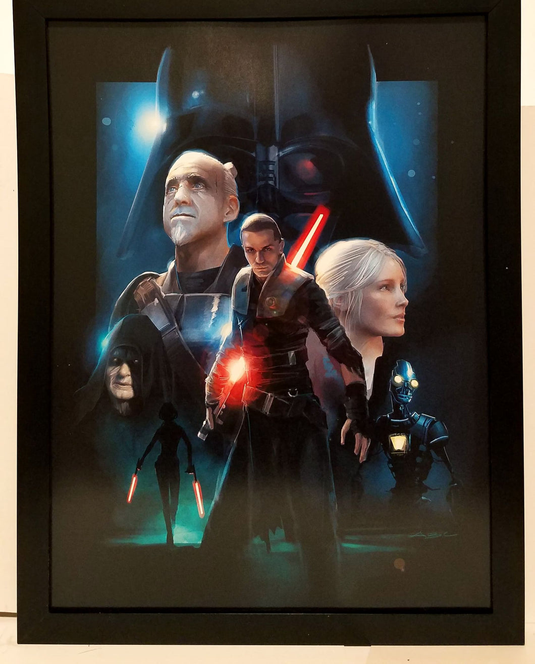 Star Wars The Force Unleashed 2008 Game 9x12 FRAMED Art Print Movie Poster