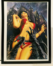 Load image into Gallery viewer, Vampirella 12x16 FRAMED Art Print by Alex Ross (from #1) NEW comic poster

