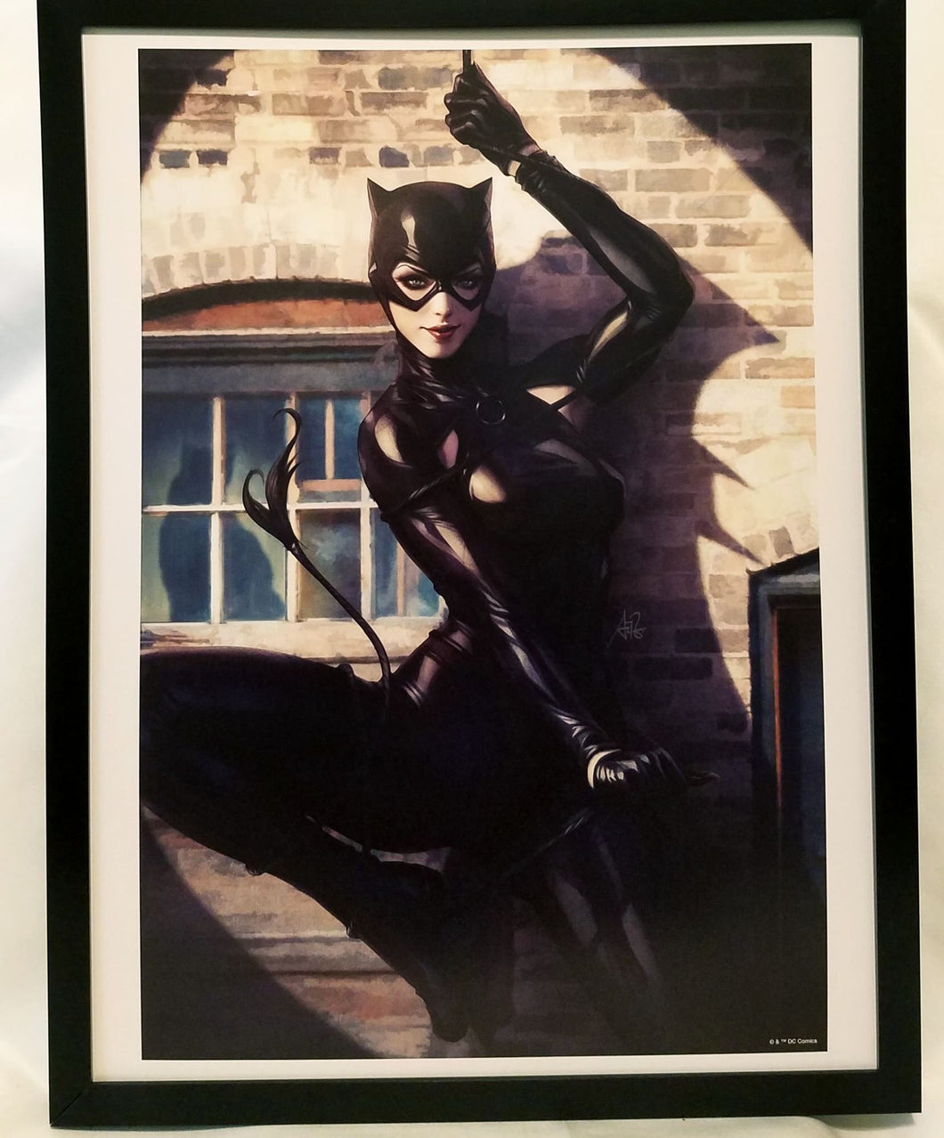 Catwoman by Stanley Artgerm Lau FRAMED 12x16 Art Print DC Comics Poster