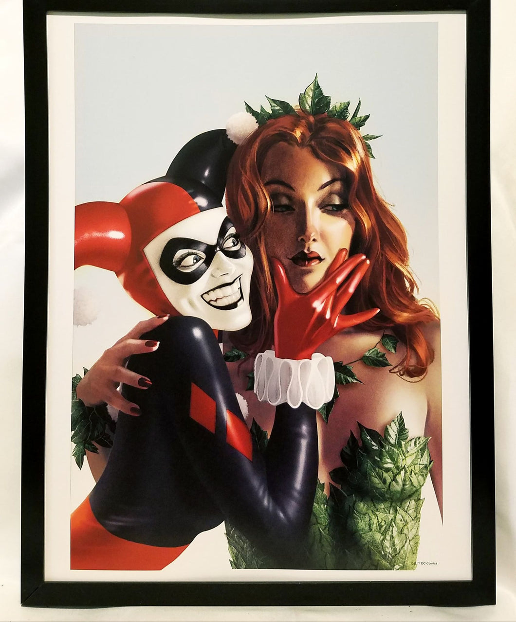 Harley Quinn & Poison Ivy by Joshua Middleton FRAMED 12x16 Art Print Poster DC Comics