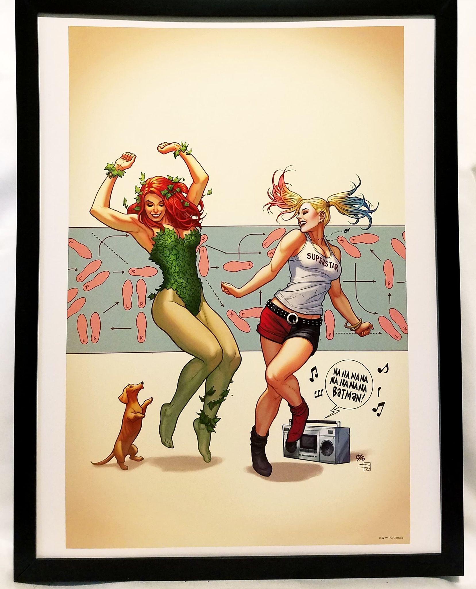 Harley Quinn & Poison Ivy by Frank Cho FRAMED 12x16 Art Print DC Comics  Poster