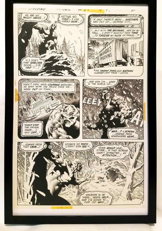 Swamp Thing #8 pg. 2 by Bernie Wrightson 11x17 FRAMED Original Art Poster DC Comics