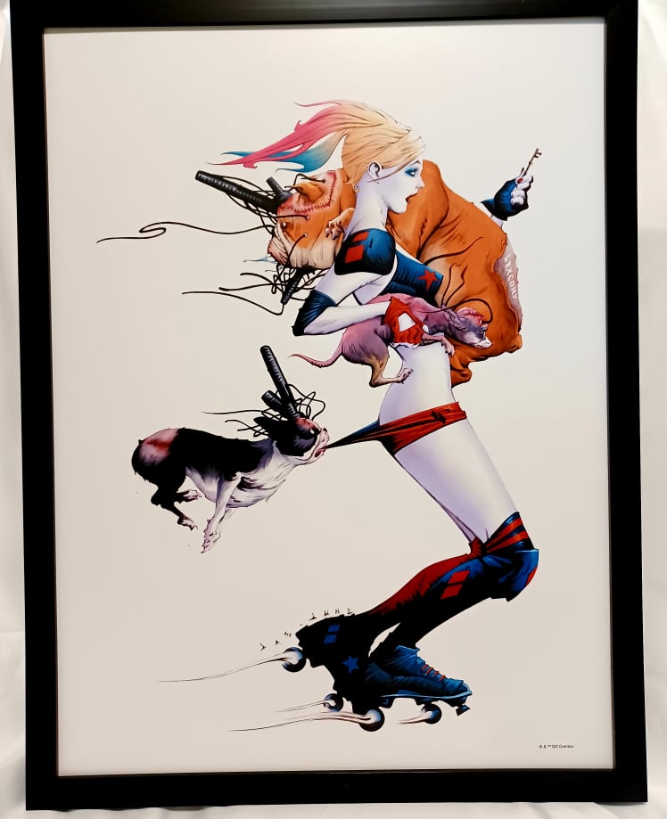 Harley Quinn by Jae Lee FRAMED 12x16 Art Print DC Comics Poster