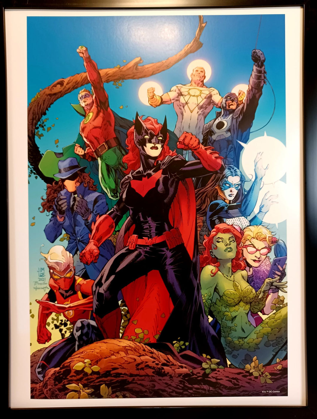 Catwoman Poison Ivy LGBTQ Pride by Jim Lee FRAMED 12x16 Art Print DC Comics Poster