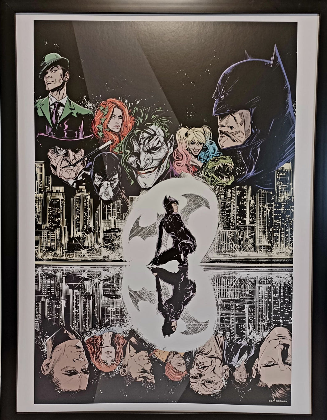 Catwoman Universe by Joelle Jones FRAMED 12x16 Art Print DC Comics Poster