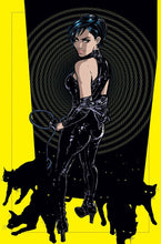 Load image into Gallery viewer, Catwoman by Joelle Jones FRAMED 12x16 Art Print DC Comics Poster

