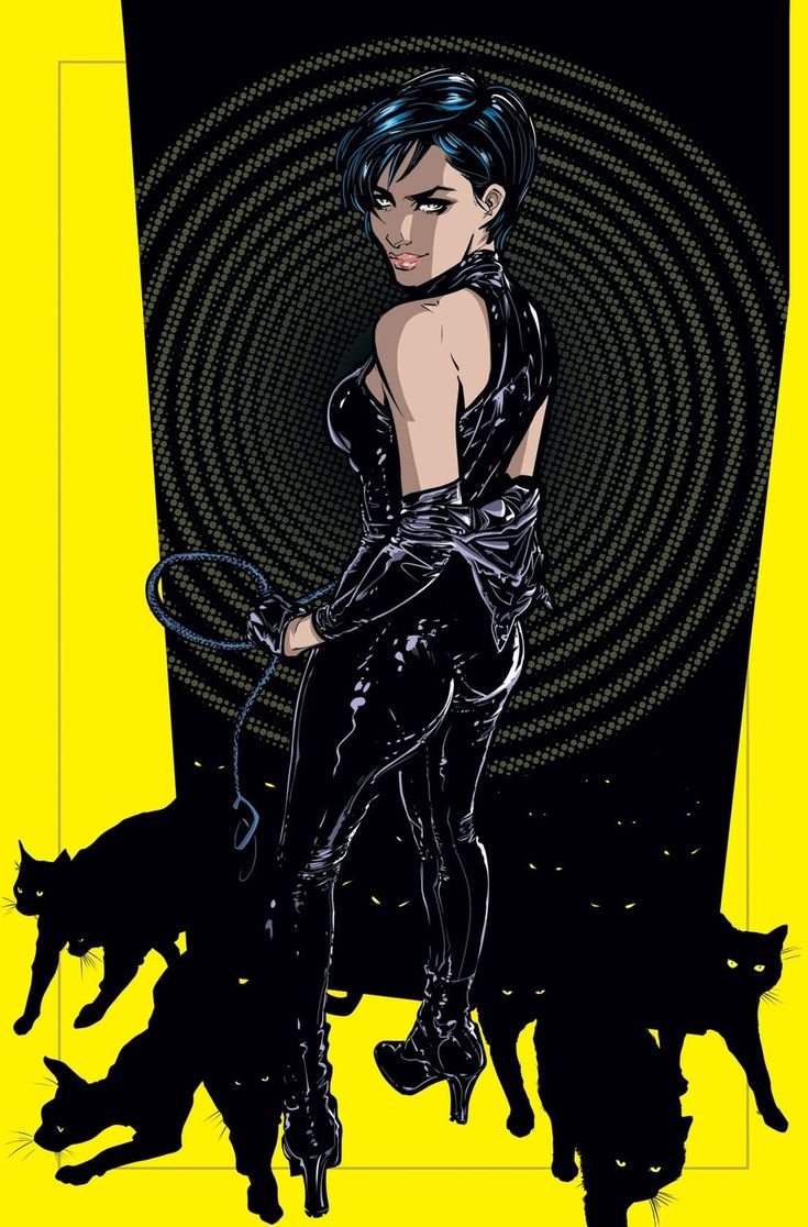 Catwoman by Joelle Jones FRAMED 12x16 Art Print DC Comics Poster